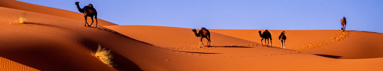 Voyager au maroc Circuits au maroc